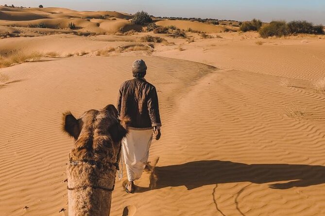 Wild Desert Overnight Safari - Pickup and Meeting Details