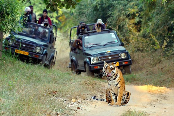 Wildlife of Central India - Major National Parks