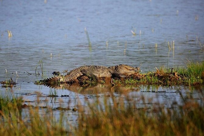 Wilpattu National Park Jeep Safari From Negombo / Waikkal (All Inclusive) - Inclusions and Exclusions