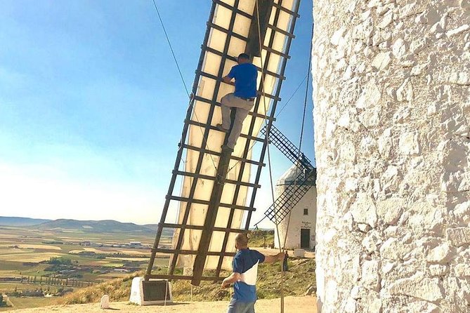 Windmills of Don Quixote Wine Tour & Tasting From Madrid - Old-Growth Vines and Wine Tasting