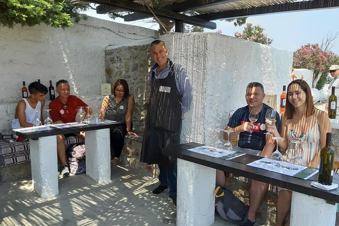 Wine Tasting Tour at a Traditional Farm in Mykonos - Guided Wine Tasting Experience