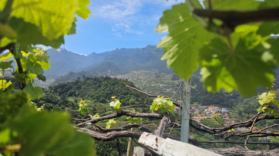 Wine Tour by Overland Madeira - Pickup and Destination