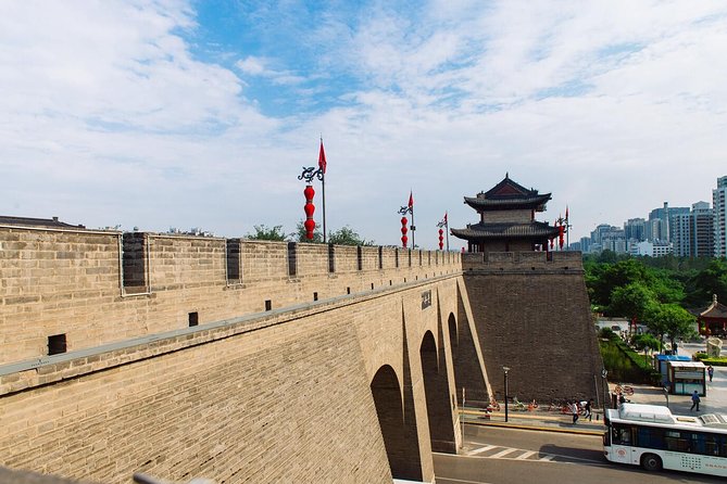 Xian Terracotta Warriors and City Wall Private Day Tour - Tour Schedule and Requirements