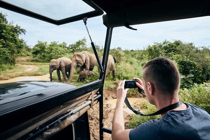 Yala National Park Wildlife Safari/ Game Drive - by Ajith Safari - Meeting and Pickup Locations