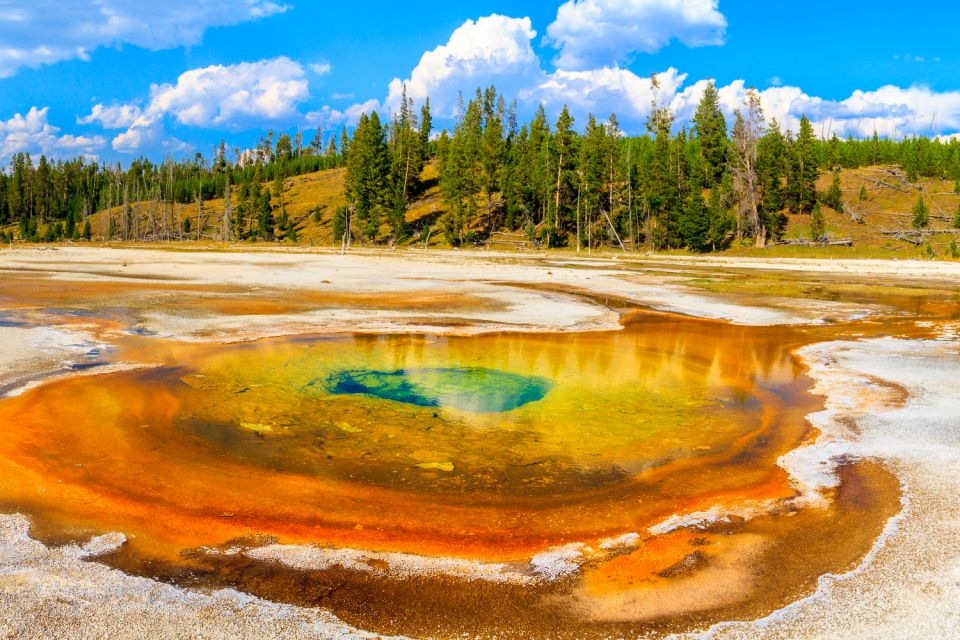 Yellowstone & Rocky Mountain: Self-Guided Driving Audio Tour - Downloadable App and Features