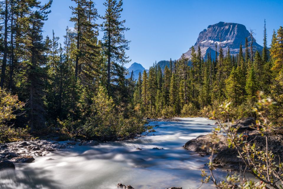 Yoho National Park: Self Guided Driving Audio Tour - Burgess Shale Fossil Site