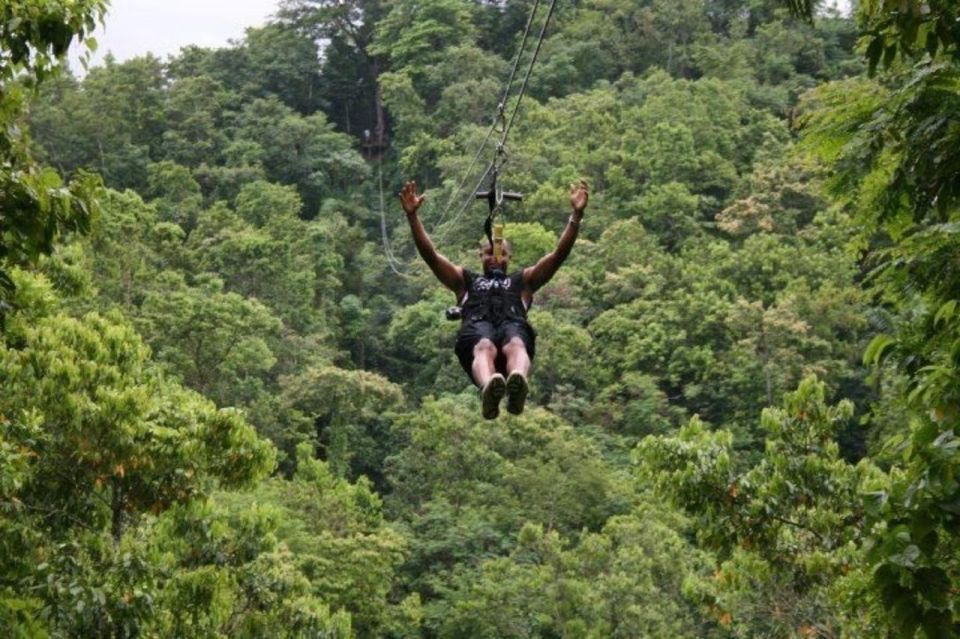 Zipline Over the Dunns River Falls Adventure - Activity Details