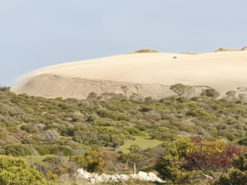 3-Day Yorkes Peninsula Coastal Wilderness Tour From Adelaide - Key Points