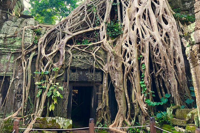 1 Day Angkor Wat Tour - Pickup and Start Time