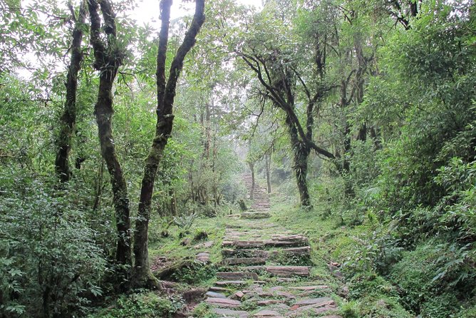 1-Day Private Dhampus Trekking Tour - Activity Details