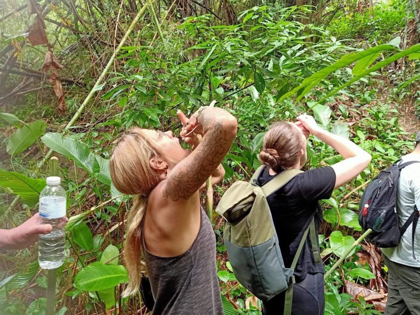 1 Day Trekking : Chiang Rai Popular Activity,Fun in Nature. - Itinerary