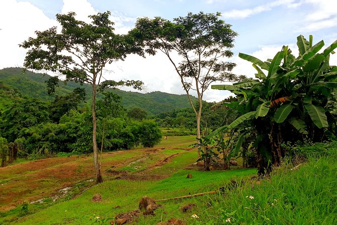 1 Day Trekking Group Tour With Bamboo Cooking / Chiang Rai - Participant Experience