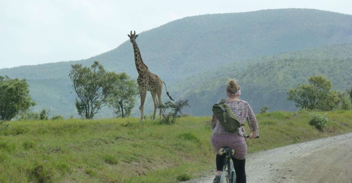 1 Day Trip to Hells Gate Park and Optional Lake Naivasha - Highlights