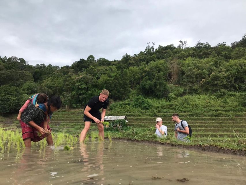 2 Days 1 Night Non Tourist Trek - Jungle Trekking