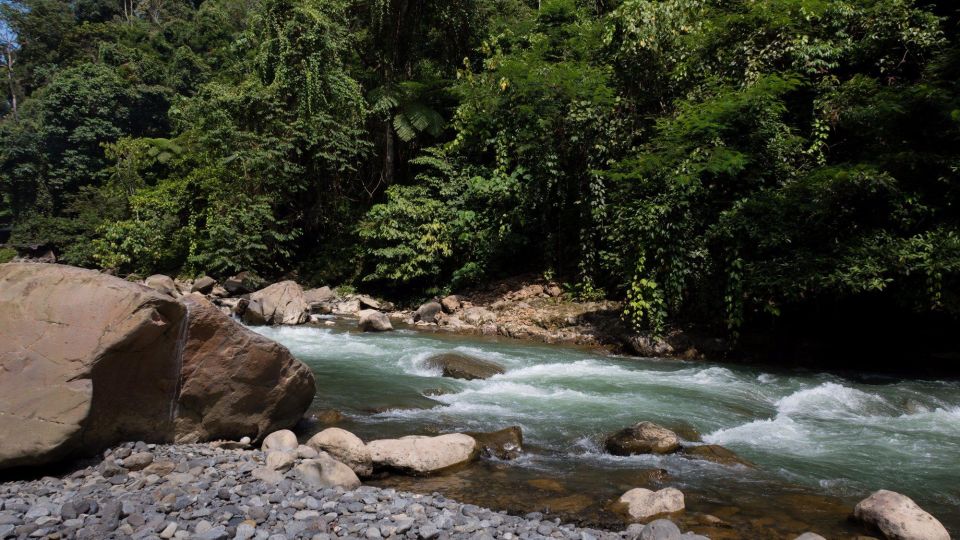 2 Days 1 Night Orangutan Trek Bukit Lawang - Highlights of the Trek