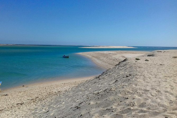 2-Hour Bird Watching Guided Boat Trip in Ria Formosa From Faro Algarve - Additional Information