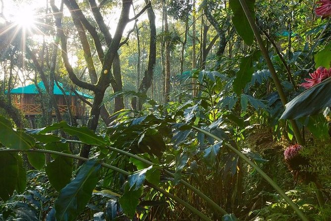 2 Nights Munnar Treehouse Escape With Private Car- Iris Holidays - Exclusions to Consider