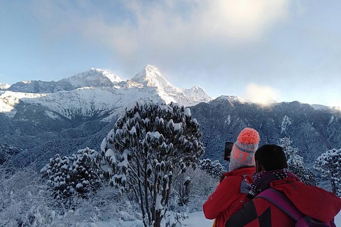 3-Day Poon Hill Trek From Pokhara. - Transportation and Logistics