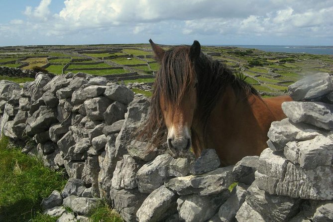 3-Day Southern Ireland Tour Including Galway and Kerry From Dublin - Meeting and Pickup