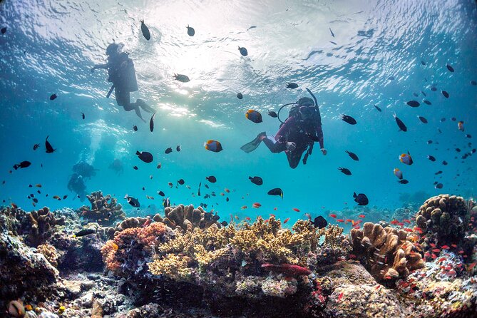(3 Days) PADI Open Water Diver Course Kota Kinabalu - Booking Process