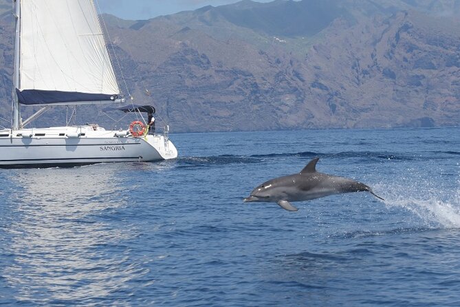 3-Hour Cetacean Watching and Snorkeling Tour in Tenerife - Tour Duration and Group Size