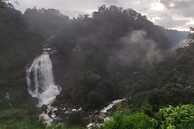 3 Nights 4 Days Munnar Alleppey Private Tour With Exclusive Houseboat Stay - Accommodation and Amenities