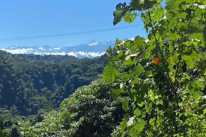 4-Day Walking Tour to Lost City of Sierra Nevada - Traveler Experiences