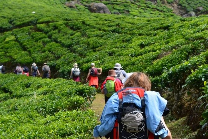 4 Days Best of Kerala Tour With Private Houseboat, Sightseeing & Car - Travelers Considerations