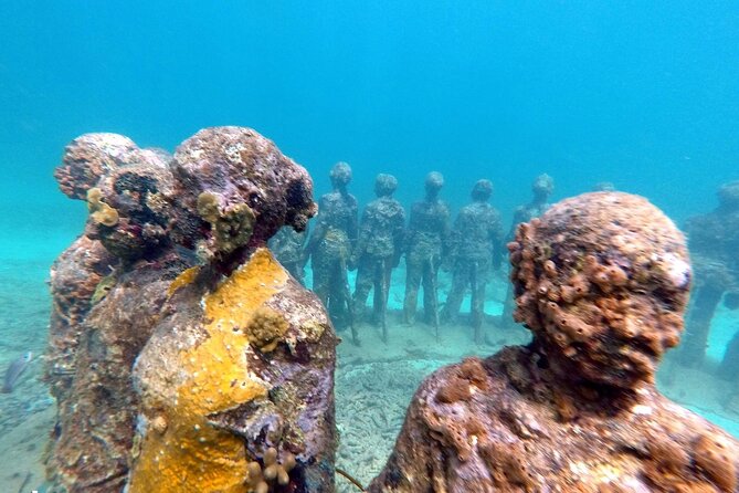 4-Hour Snorkel Cruise to Underwater Sculptures With Boat Dogs - Enjoy the Open Bar