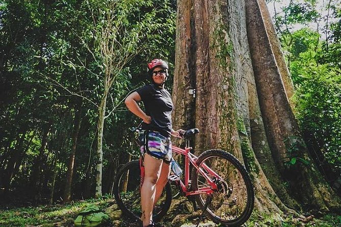 4 Hours Cycling in the Nature at Pulau Ubin Singapore - Accessibility Options