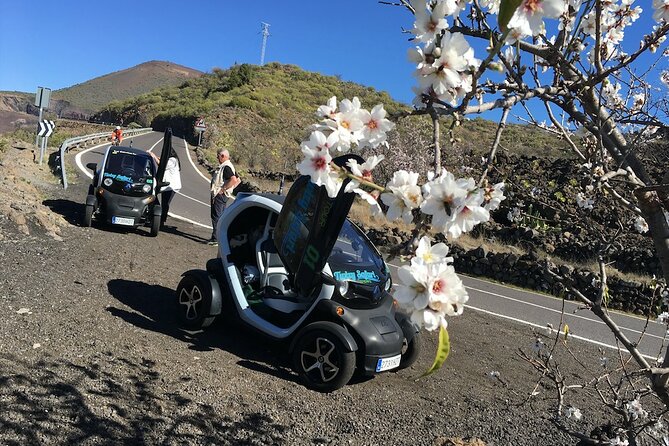 4 Hours Eco Safari Tour With Electric Car in Tenerife - Discovering Secluded Canarian Villages