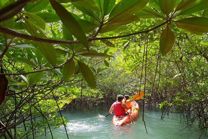 4-Waters Eco-Adventure Trip From Phuket Including Lunch - Exploring Mai Khao and Natai Beaches