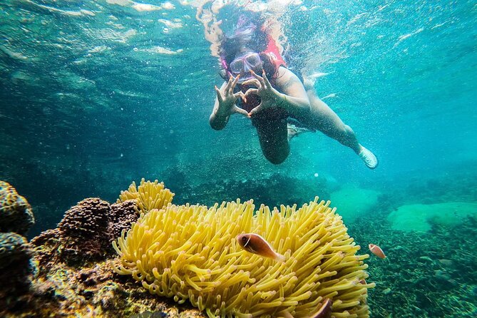 5 Islands Full-Day Tour Around Koh Tao and Koh Nangyuan - Highlights