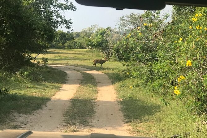 A Multi Day Tour Around Sri Lanka With Our Personal Driver - Tour Highlights