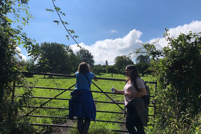A Tour of Glastonbury, Guided by the Trees. - Learning Tree Insights