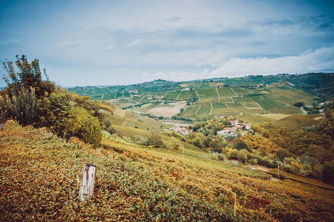 Abellonio Cascina Piccaluga - A Visit to the Vineyards, to the Wine Tasting Cellar - Highlights of the Visit