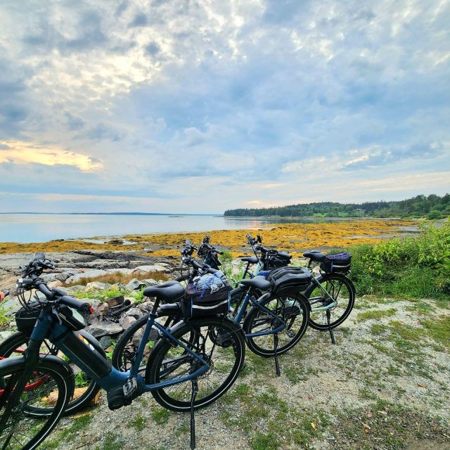 Acadia National Park Carriage Roads: Guided Ebike Tour - Ebike Features and Accessories