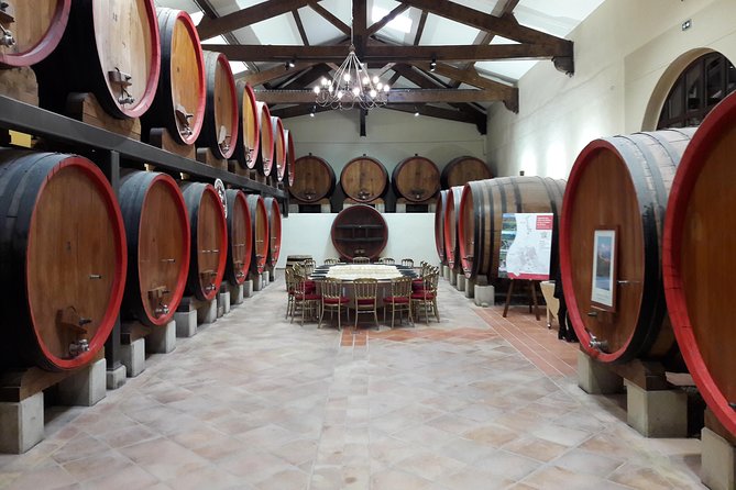 Afternoon Wine Tour to Chateauneuf Du Pape From Avignon - Tour Itinerary