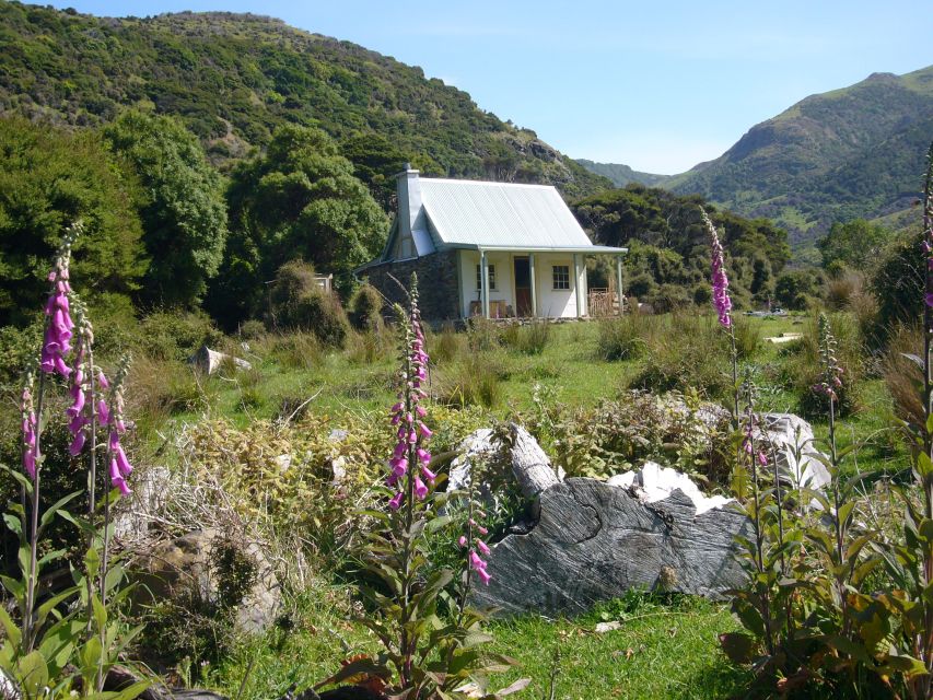 Akaroa: 24-hour Overnight Pohatu Penguin Package - Group Size and Language