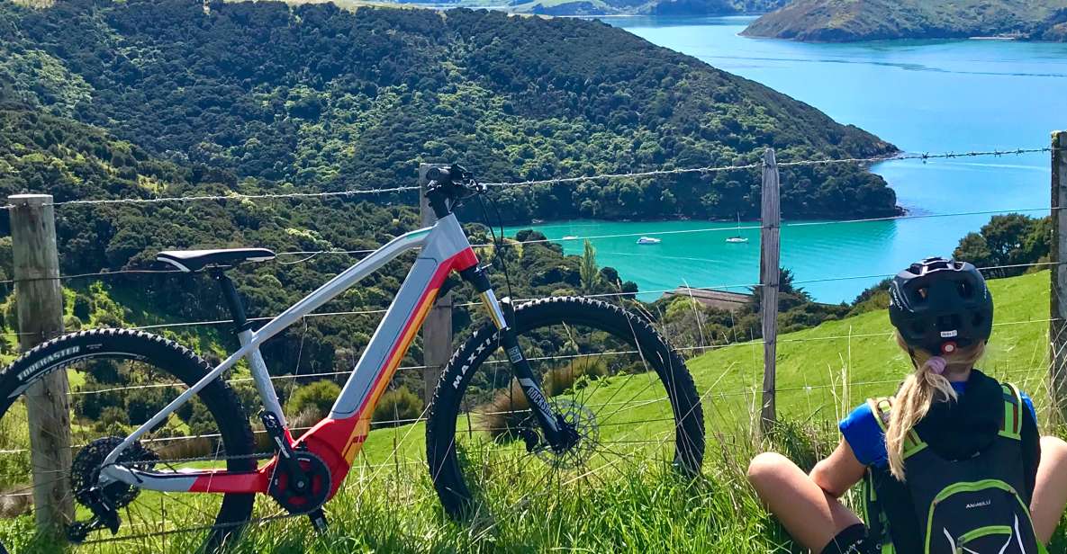 Akaroa: Guided Electric Mountain Bike Tour - Tour Description