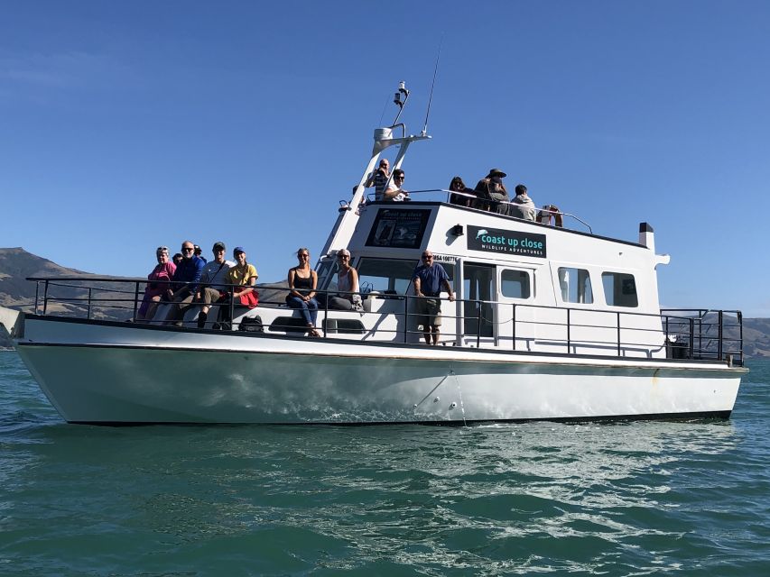 Akaroa: Scenic Coastline Wildlife Cruise - Experience