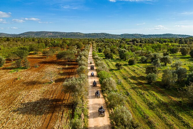 Albufeira 3-Hour Off-Road Quad Tour - Tour Highlights