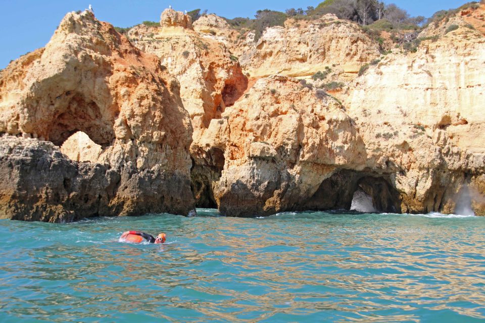 Algarve: Open Water Swimming - Activities and Highlights