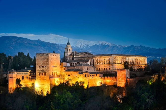 Alhambra, Nasrid Palaces and Generalife Private Tour From Malaga - Nasrid Palaces and Alcazaba