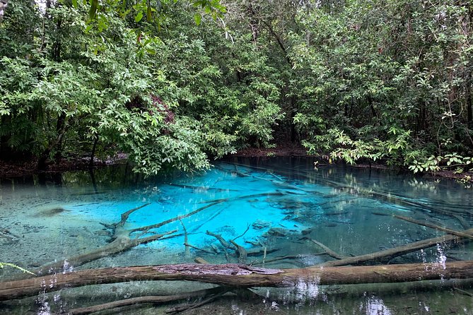 All Day Krabi Jungle Tour (Hot Spring Water, Emerald Pool, Tiger Cave Temple) - Review Highlights