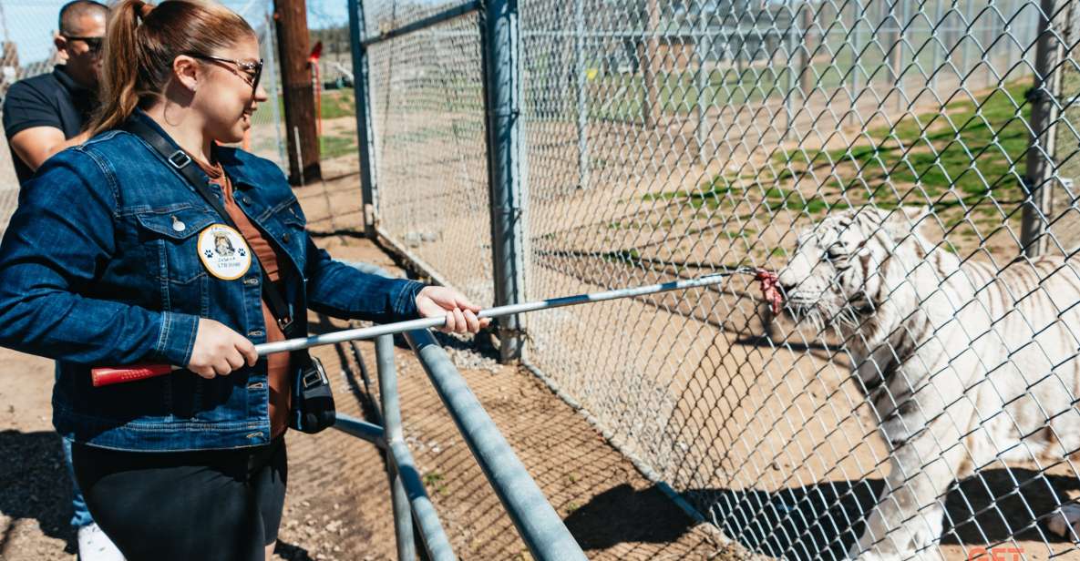 Alpine: Lions Tigers & Bears Sanctuary Visit and Feeding - Meet the Rescued Animals