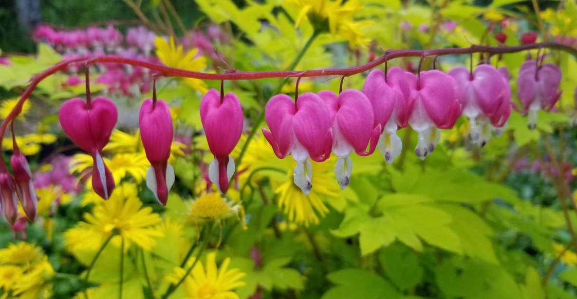 Anchorage: Botanical Garden Walking Tour - Alaska Wildlife and Vegetation