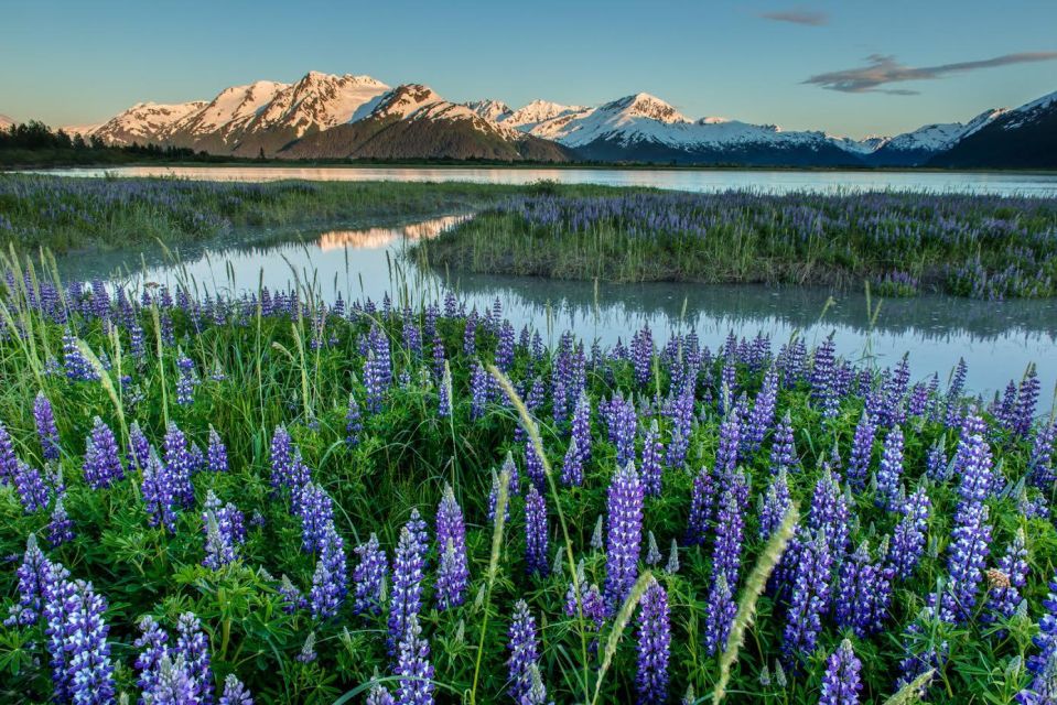 Anchorage: Turnagain Arm Highlights Photography Day Trip - Inclusions