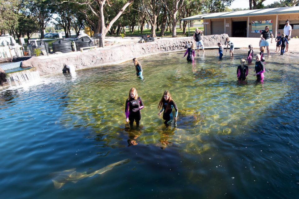 Anna Bay: Irukandji Entry and Shallow Water Shark Encounter - Language and Accessibility