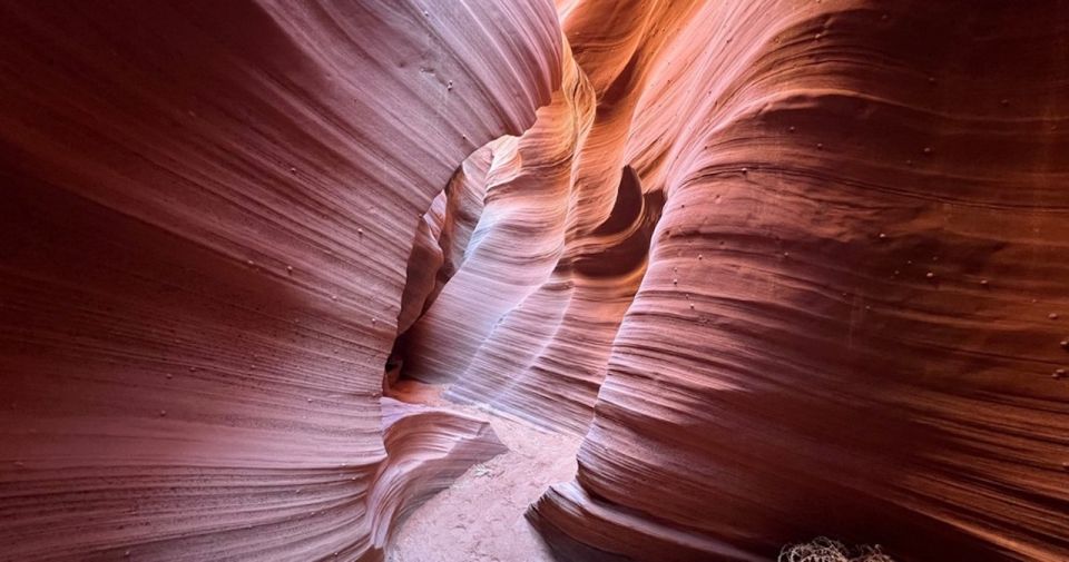 Antelope Canyon: Rattlesnake Canyon Tour - Highlights of the Tour